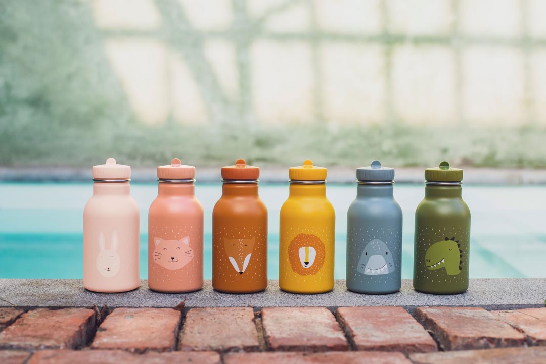 Gourde 350ml - Mr. Dino
